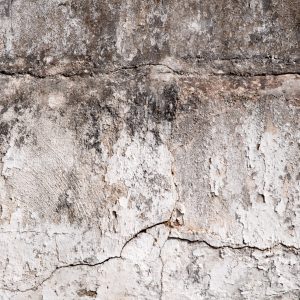 Cracks on the old concrete wall
