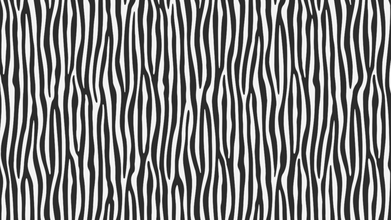 Large zebra print desktop background