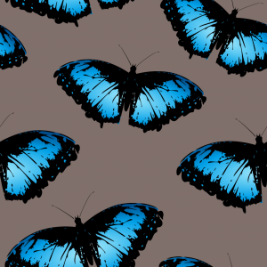 big blue butterfly pattern Morpho menelaus Pattern Pictures